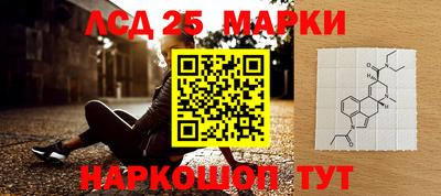 мет Новодвинск